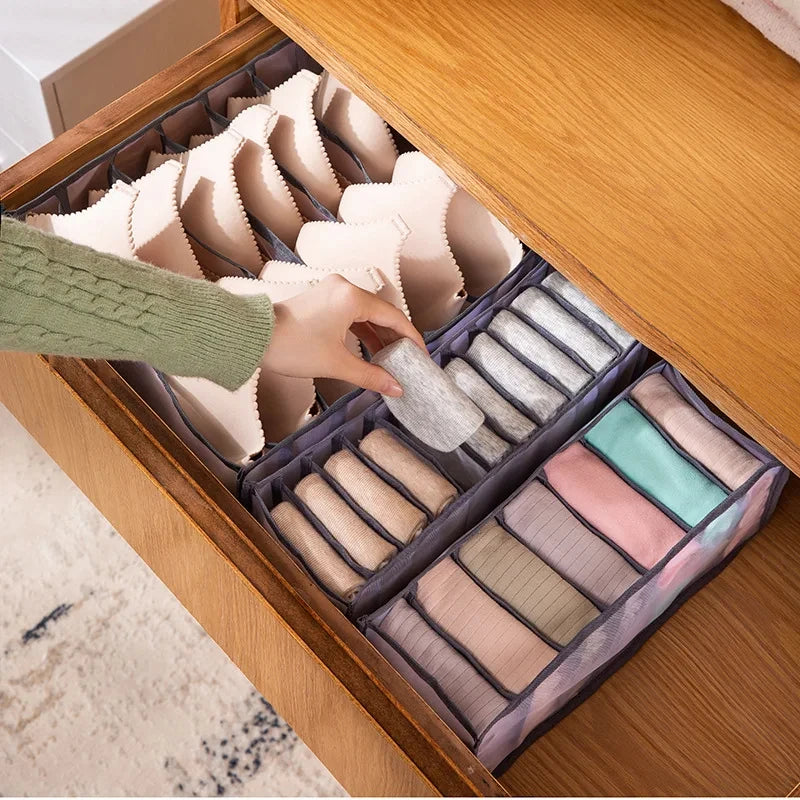 Bra Panty and Sock Organizer